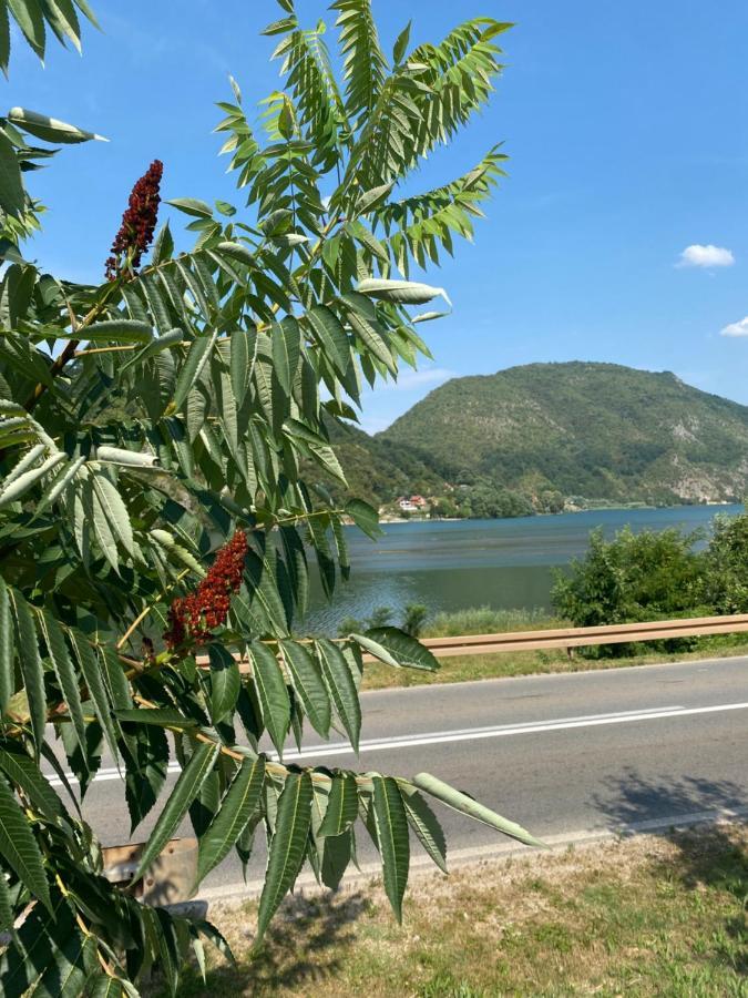 Dijanin Konak Zvornik Luaran gambar