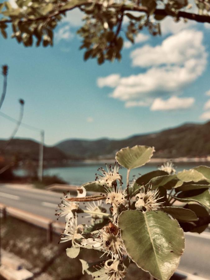 Dijanin Konak Zvornik Luaran gambar